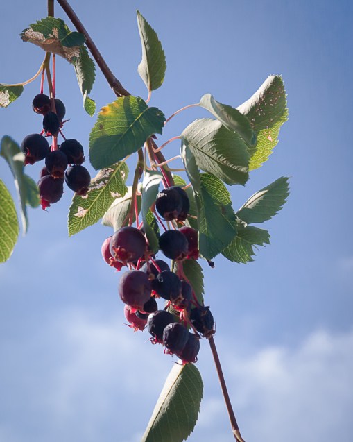 July 19, 2012-009-10