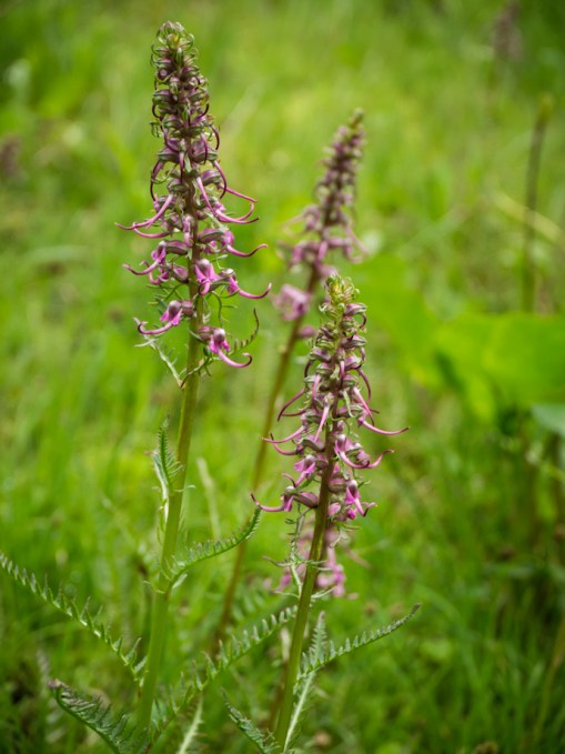 August 02, 2012-013-53