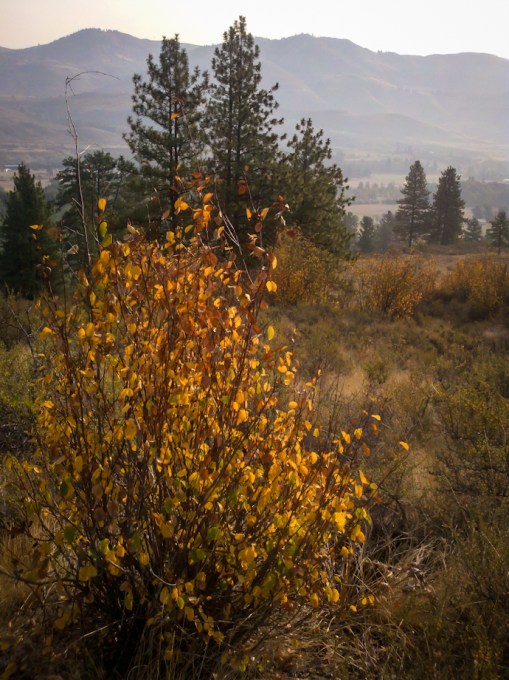 2012-09-20_09-18-39_86