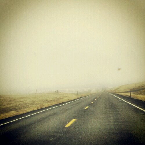 IMG_20121102_123535.jpg image