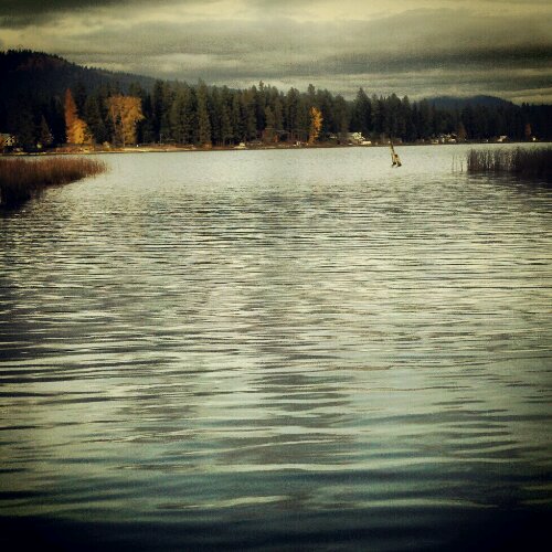 IMG_20121102_195127.jpg image