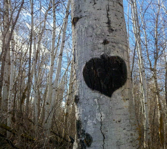 2012-12-05_11-59-27_314