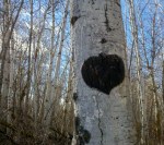 2012-12-05_11-59-27_314