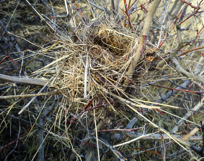 2012-12-05_12-17-12_258