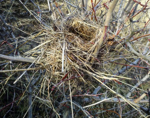 2012-12-05_12-17-12_258