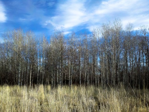 2012-12-05_12-18-45_819