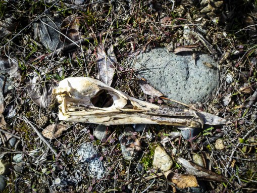 2013-03-11_11-50-05_438-2