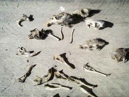 2013-03-11_15-18-20_257-2