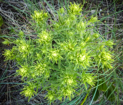 2013-05-12_09-12-43_641