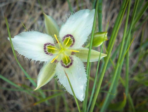 2013-05-12_09-14-11_754