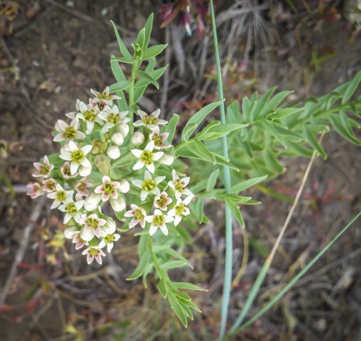 2013-05-12_09-25-04_789