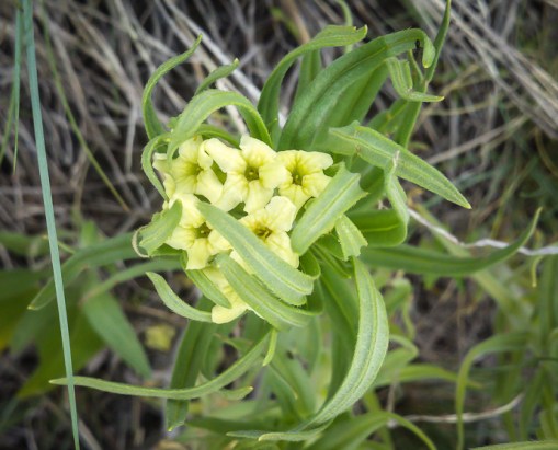 2013-05-12_09-32-53_49