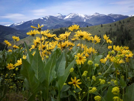 2013-05-15_09-39-30_888