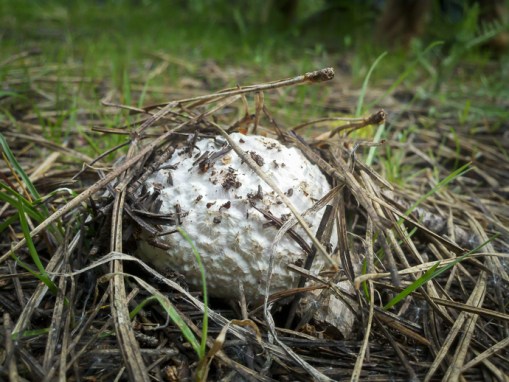 2013-05-15_09-57-27_905