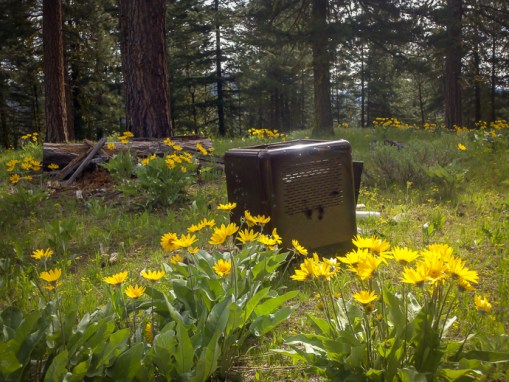 2013-05-15_10-17-33_230