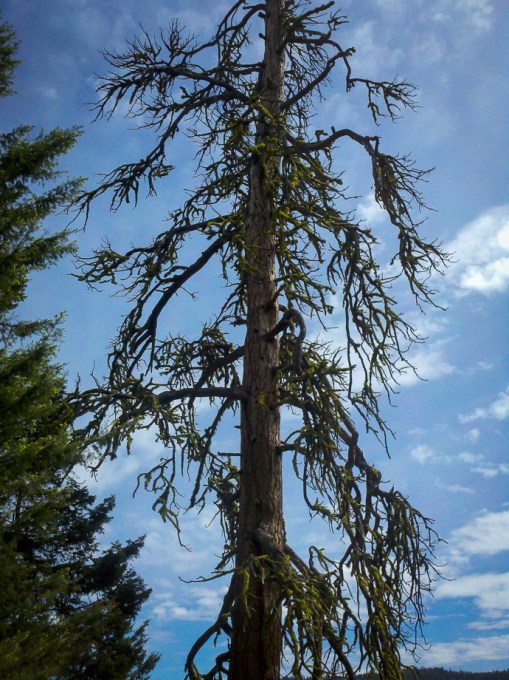 2013-05-15_10-57-54_234