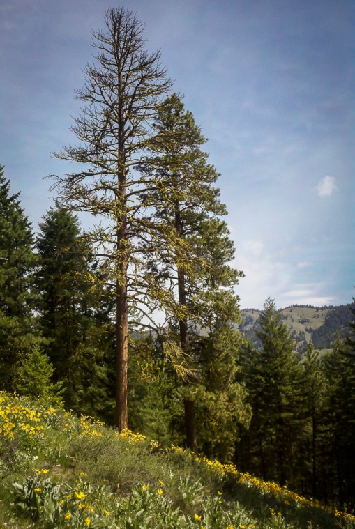 2013-05-15_11-07-55_304