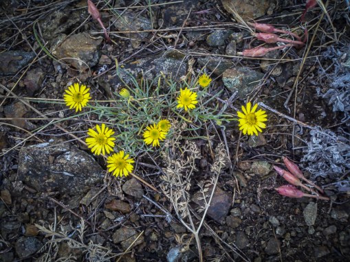 2013-05-29_10-12-21_766