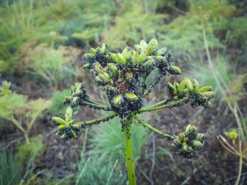 2013-05-29_10-20-22_656