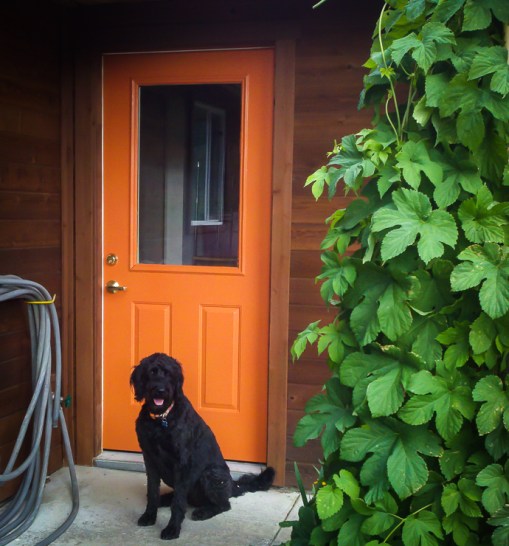 2013-06-13_18-14-10_109