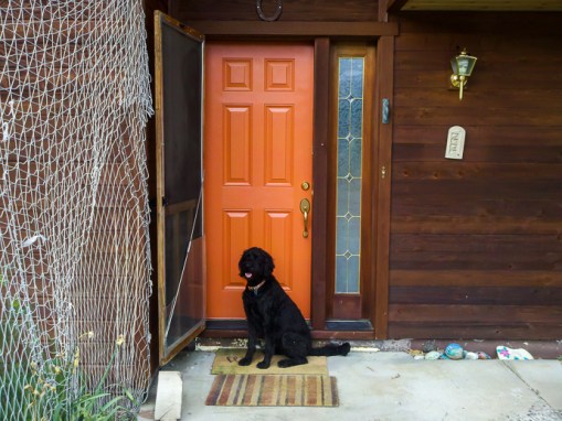 2013-06-13_18-14-34_683