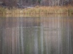 Nov092013_0070