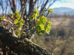 20140404_080200