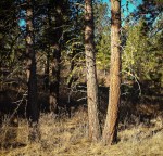 20140404_082538