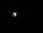 Apr042015_0028