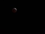 Apr042015_0046