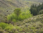 Apr232015_0138