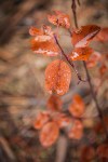 Oct302015_0228