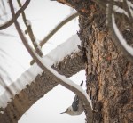 Jan132016_0065