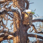 Jan142016_0089