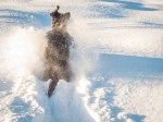 Jan142016_0102