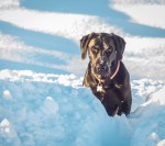 Jan142016_0109