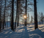 Jan142016_0157