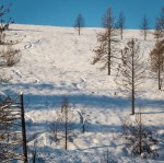 Jan142016_0164
