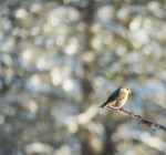 Jan142016_0174