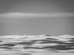 Jan152016_0064-2