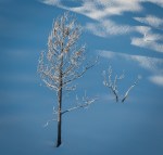 Jan152016_0067