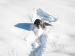 Jan152016_0071