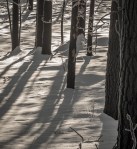 Jan152016_0076