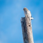 Jan222016_0057