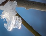 Jan222016_0081