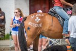 070418_0236