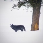 IMG_20190307_191521_560